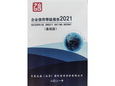 企业信用等级报告2021